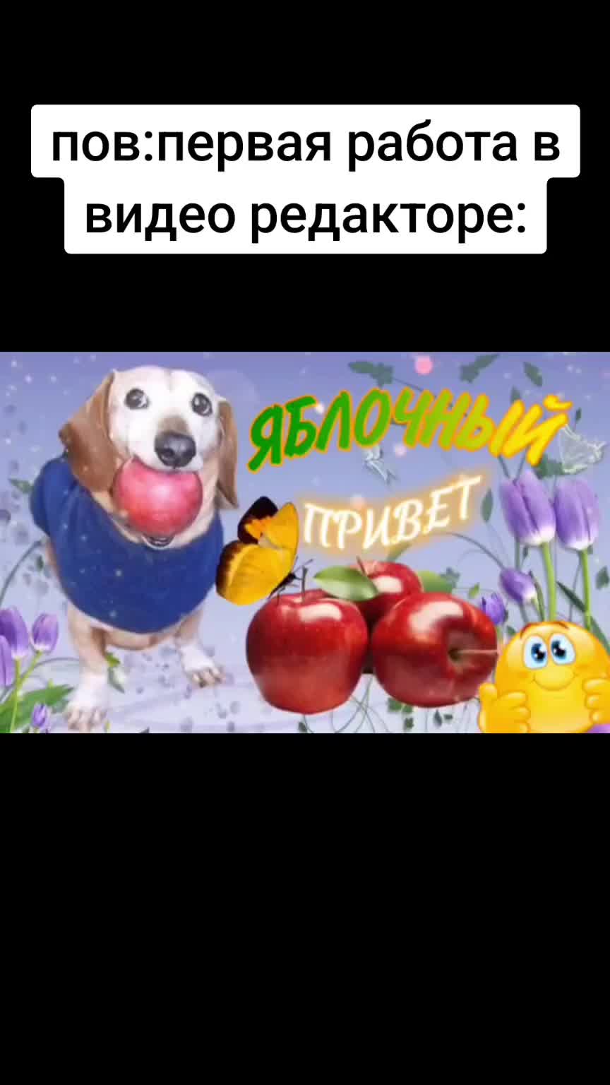 @stull