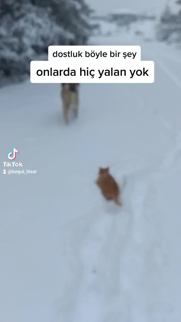 @TURGUT Ekiz 0920