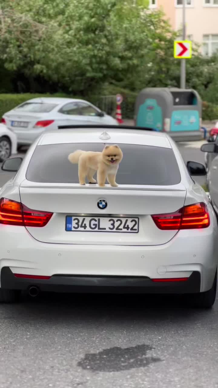 @BERKZTURKK