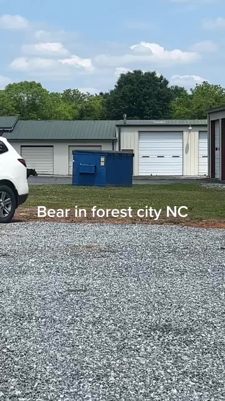 @Steven
