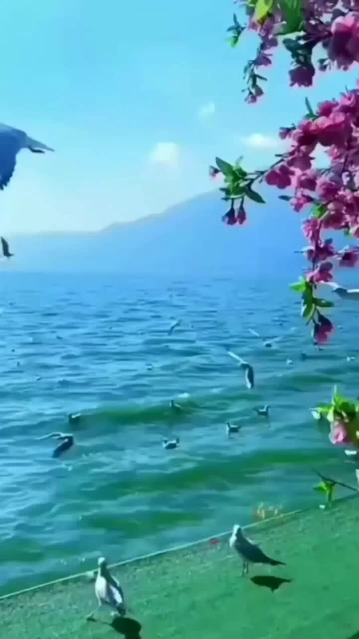 @hərbiçi_oğlanları