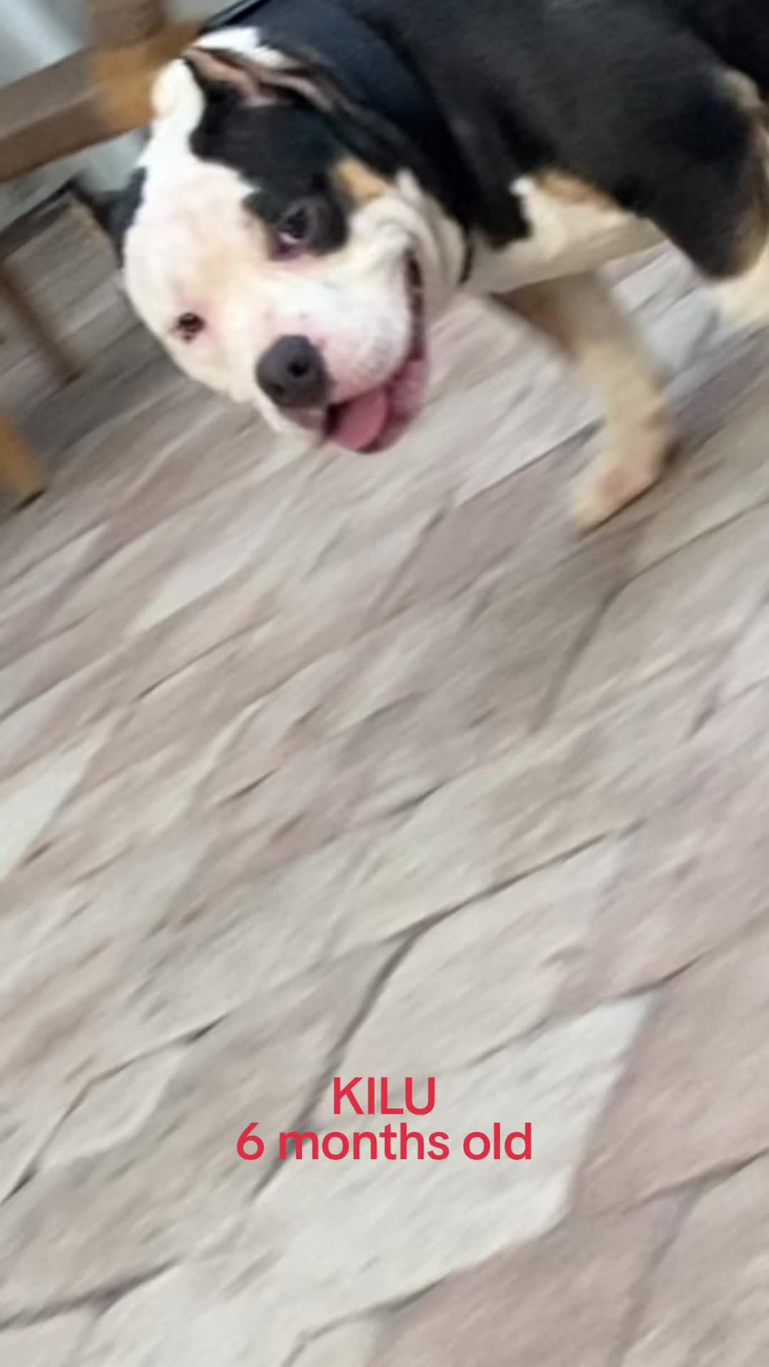 @chinomendezbully