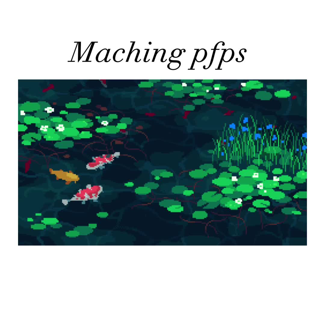 @⋆˙⟡𖦹✮𖦹⟡˙⋆