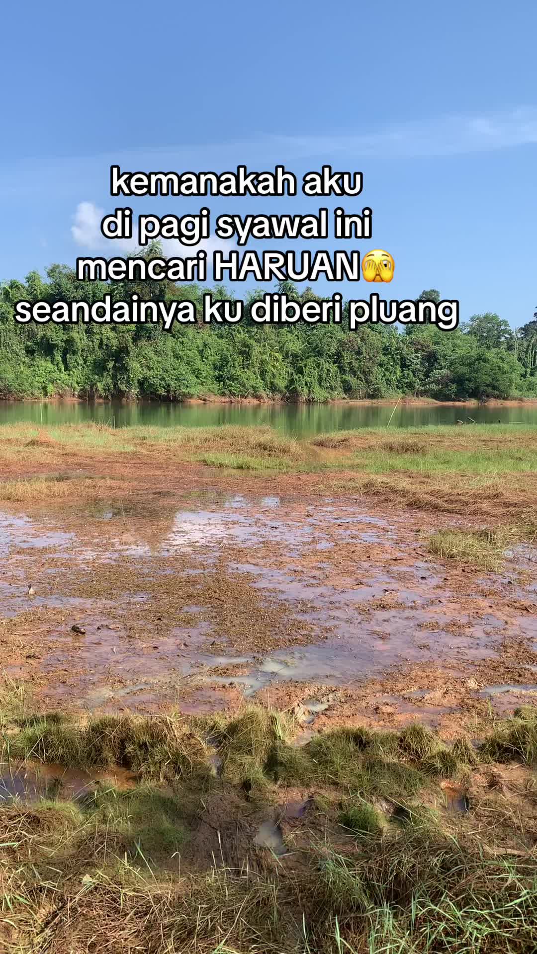 @AngSuzuran🇵🇸