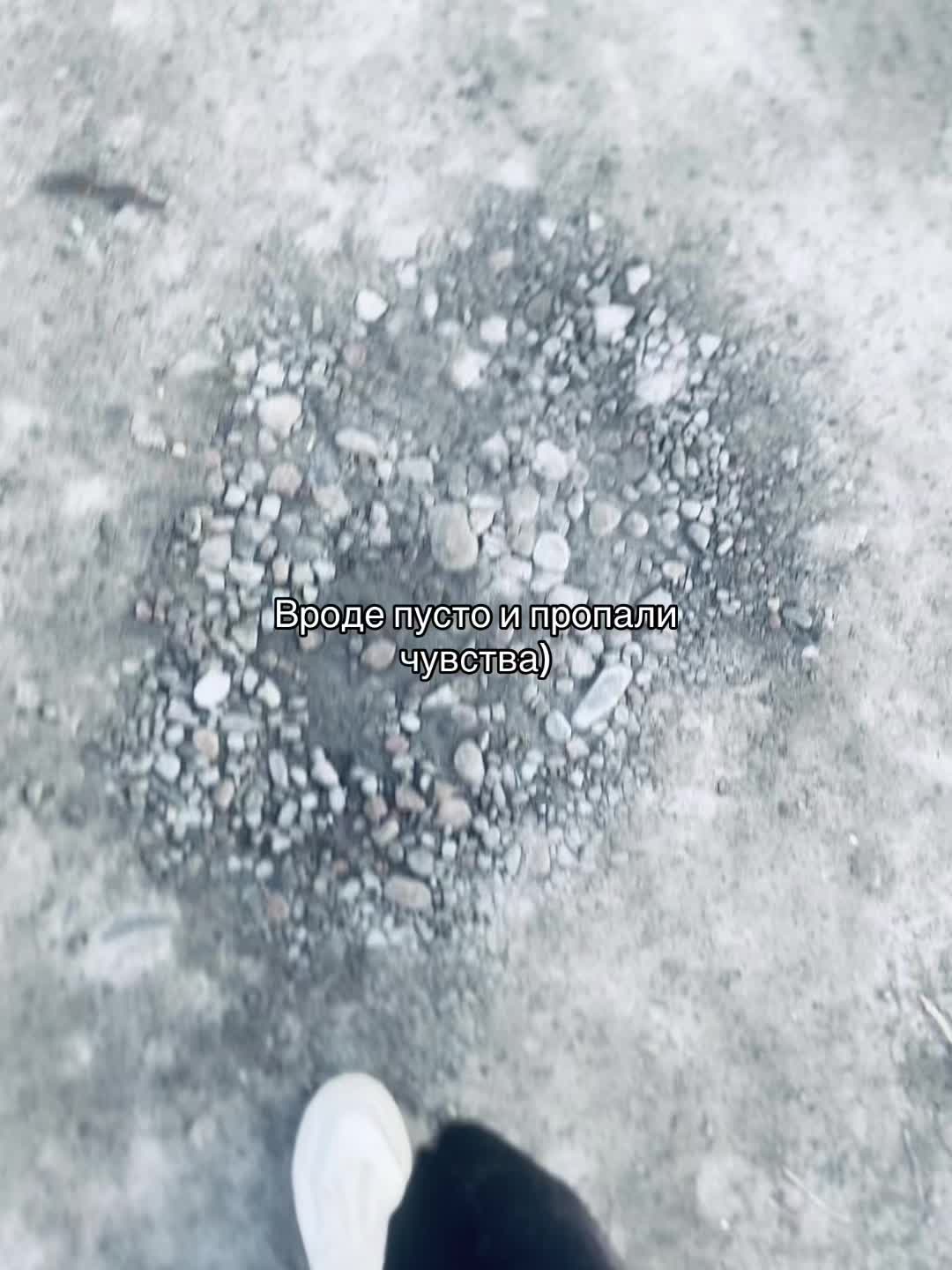@aydi_q