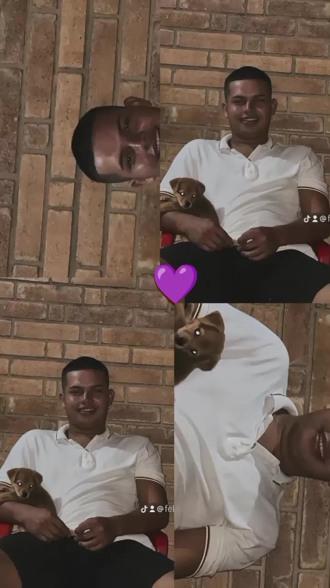 @Felipe Niño