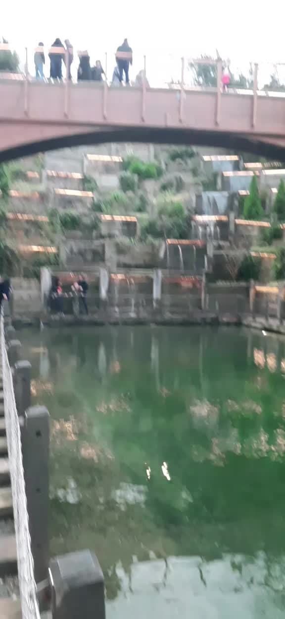 @bahar ilgar