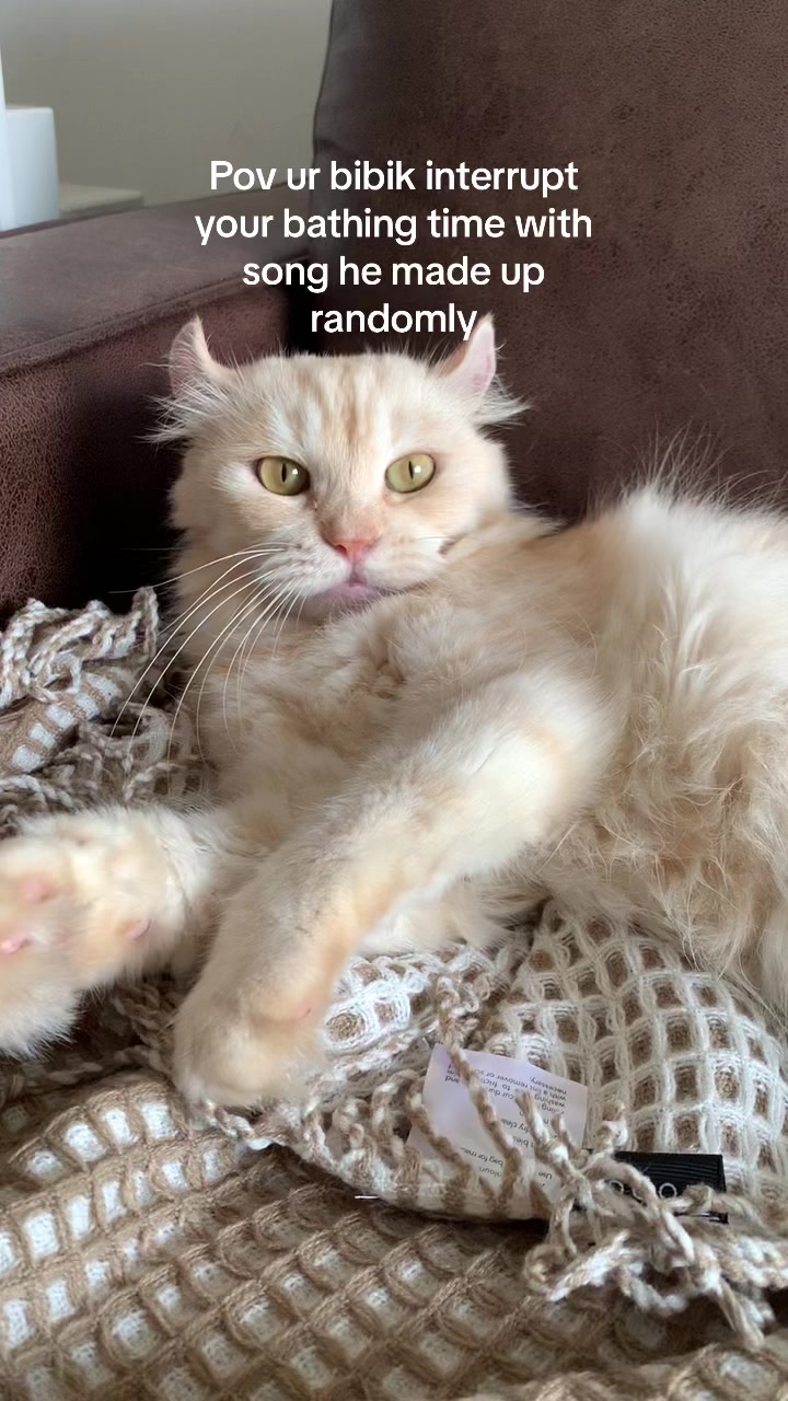 @NDY