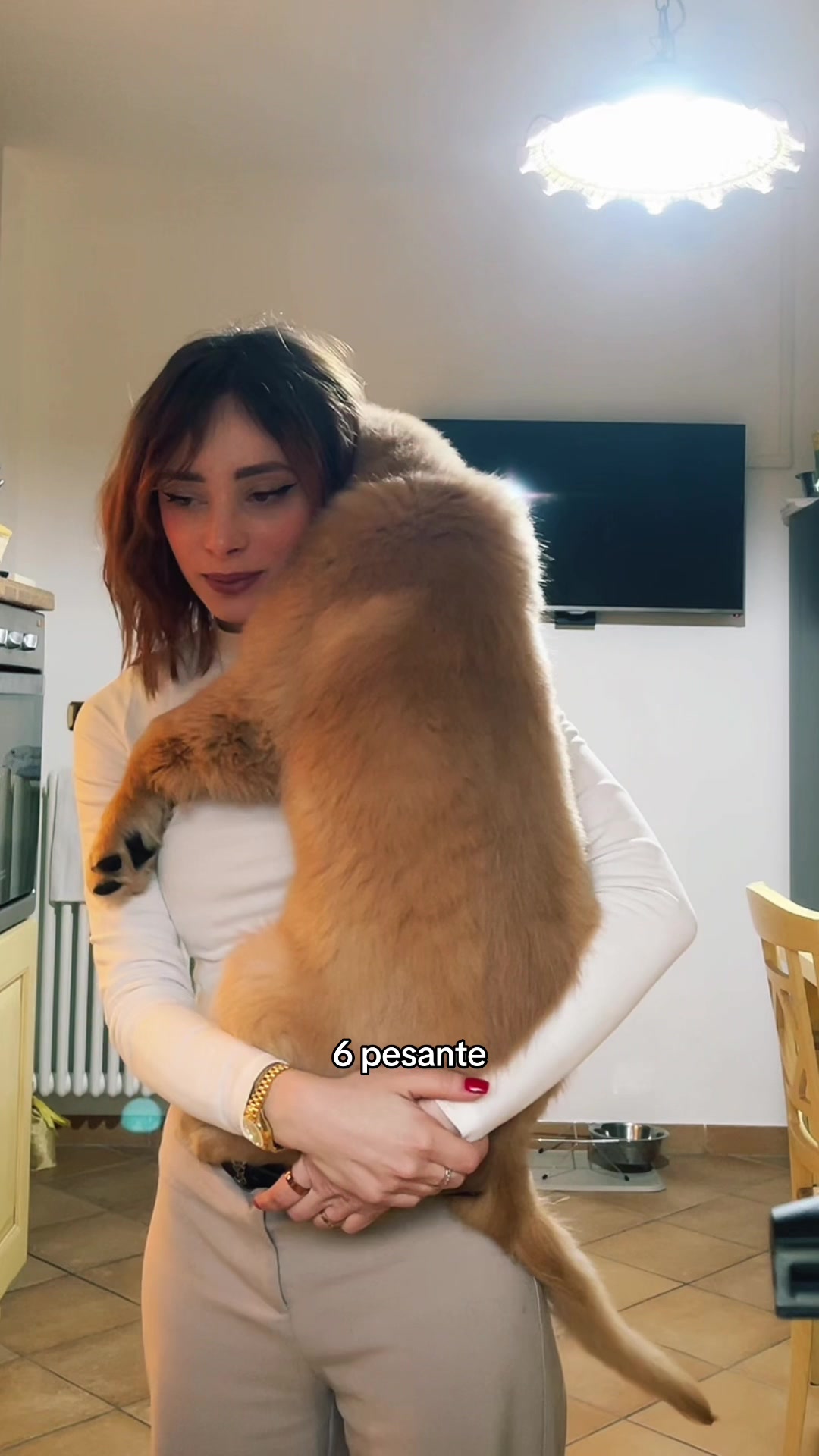 @Caterina Mastaglio