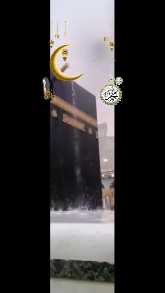 @mijanahmed3400
