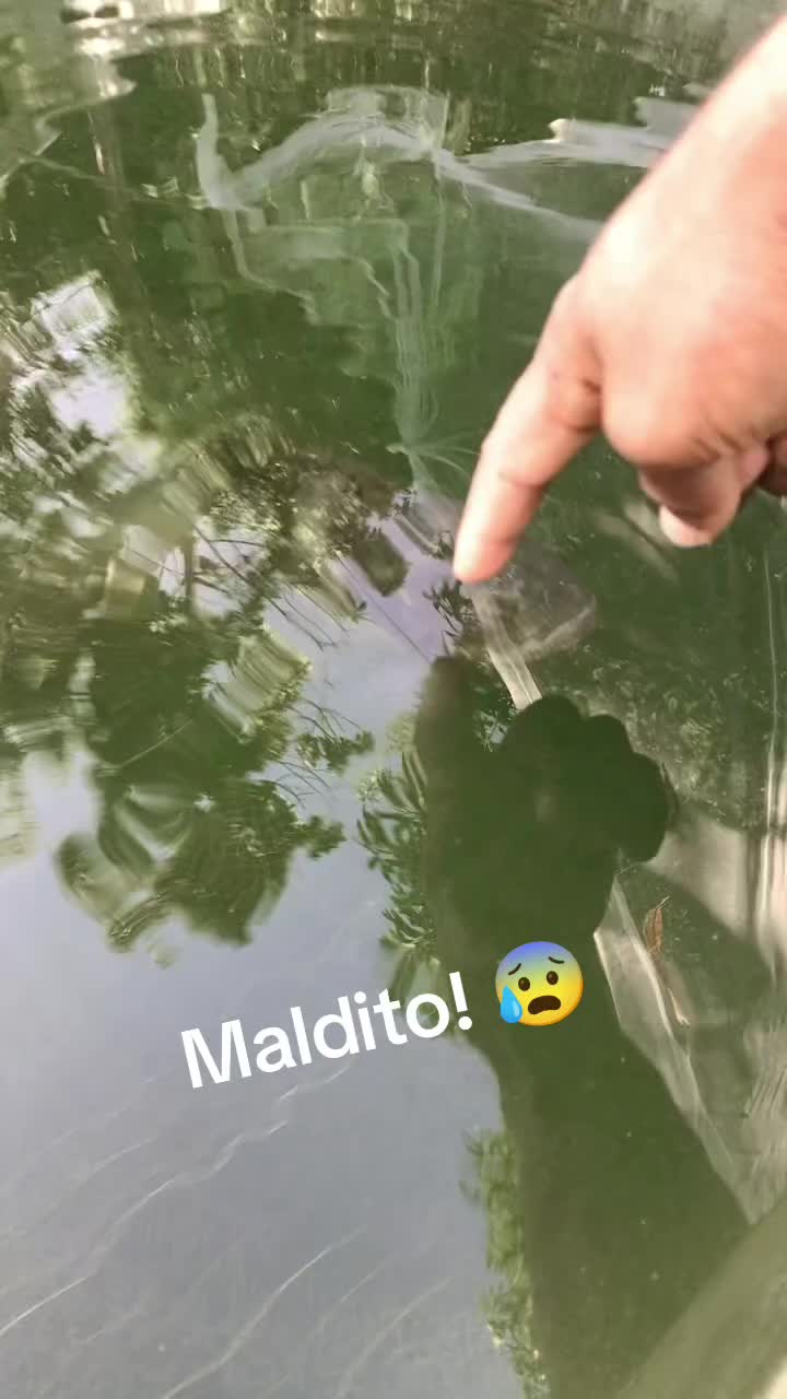 @๐ฒ๐บ Mauricio ๐ฒ๐บ