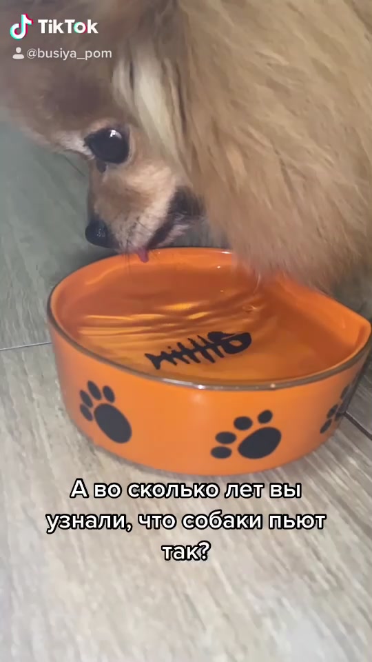 @busiya_cutie🐻♥️