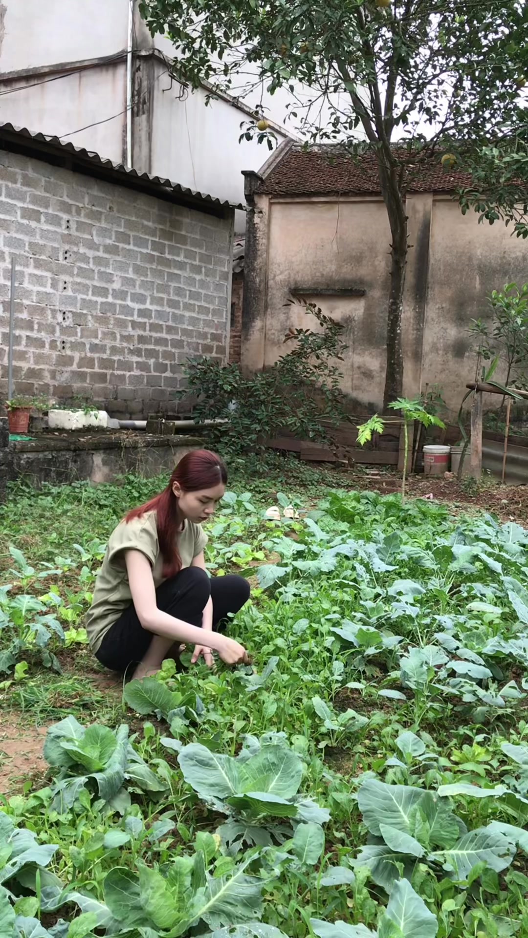 @Thảo Vy 2k2 Bắc Giang