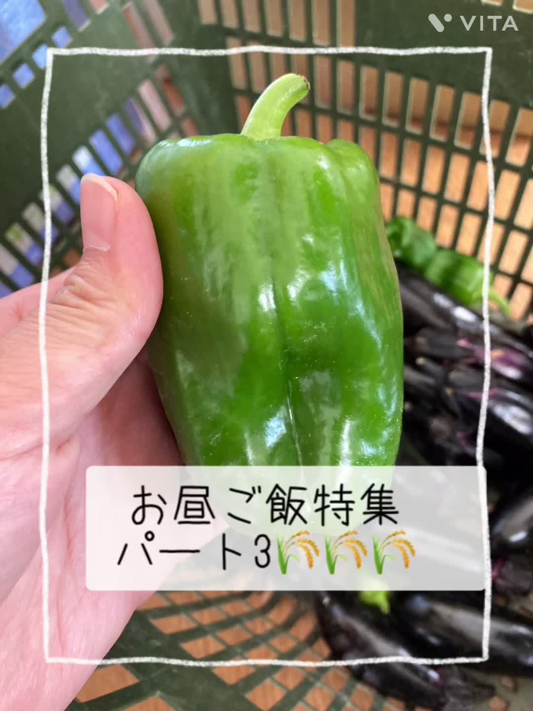 @めぐファームゴカ