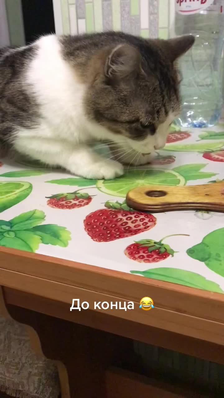 @Артём