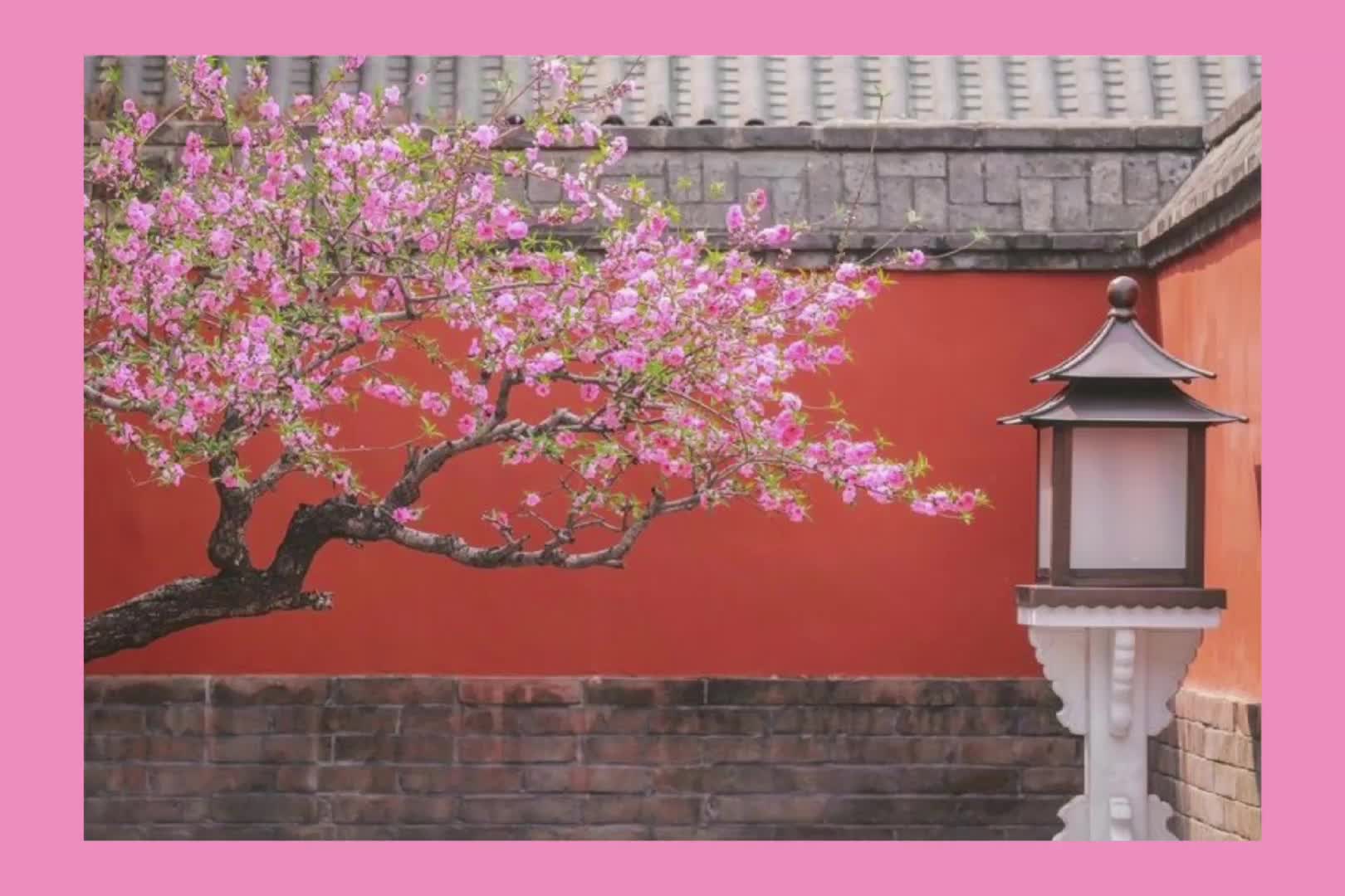 @𝐉𝐈𝐍𝐈 ✦