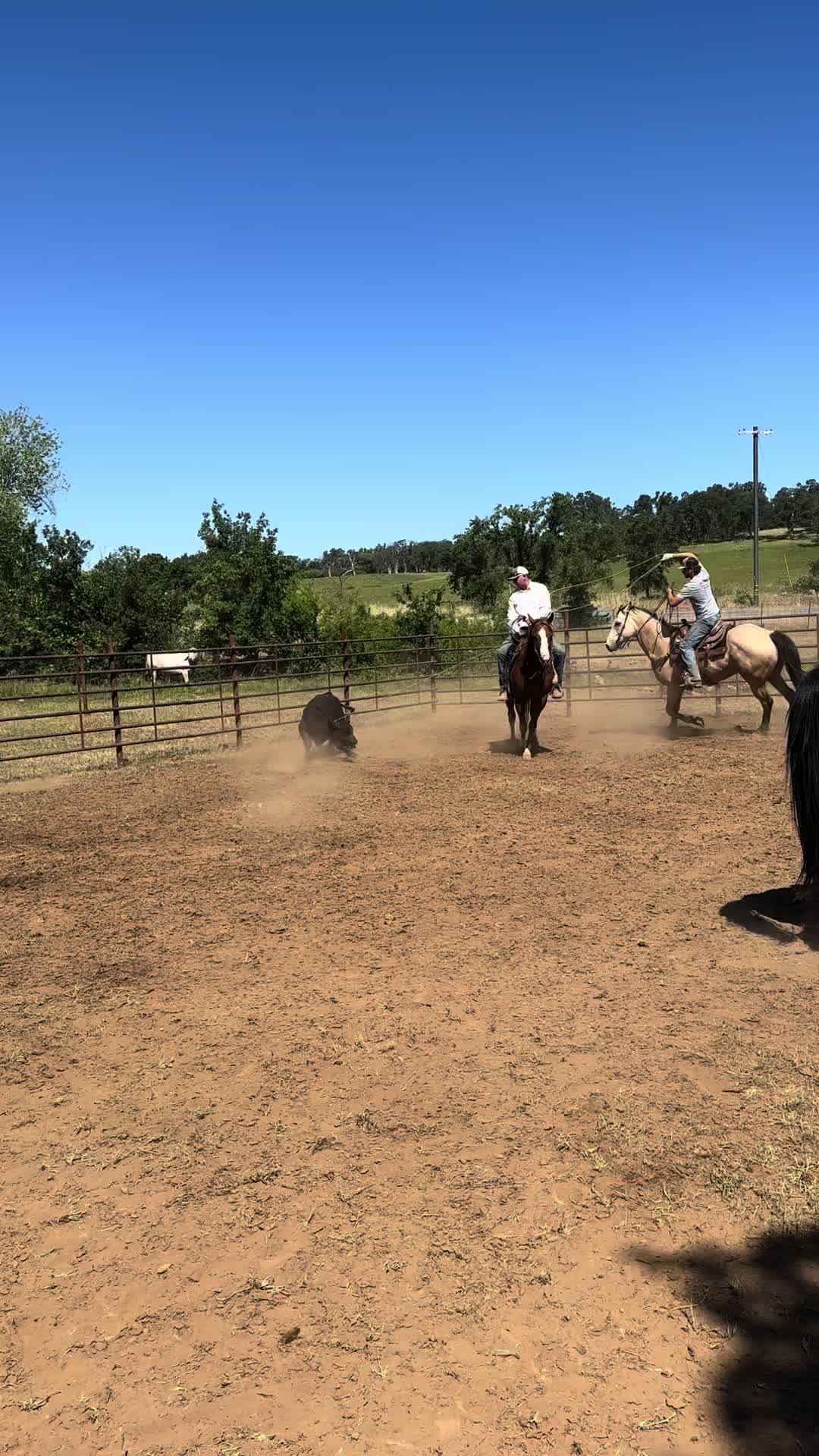 @Secret Springs Ranch