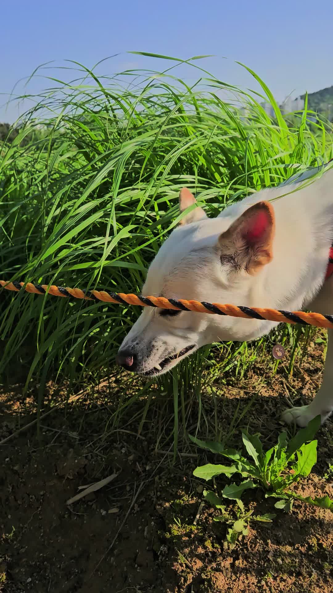 @상큼선이