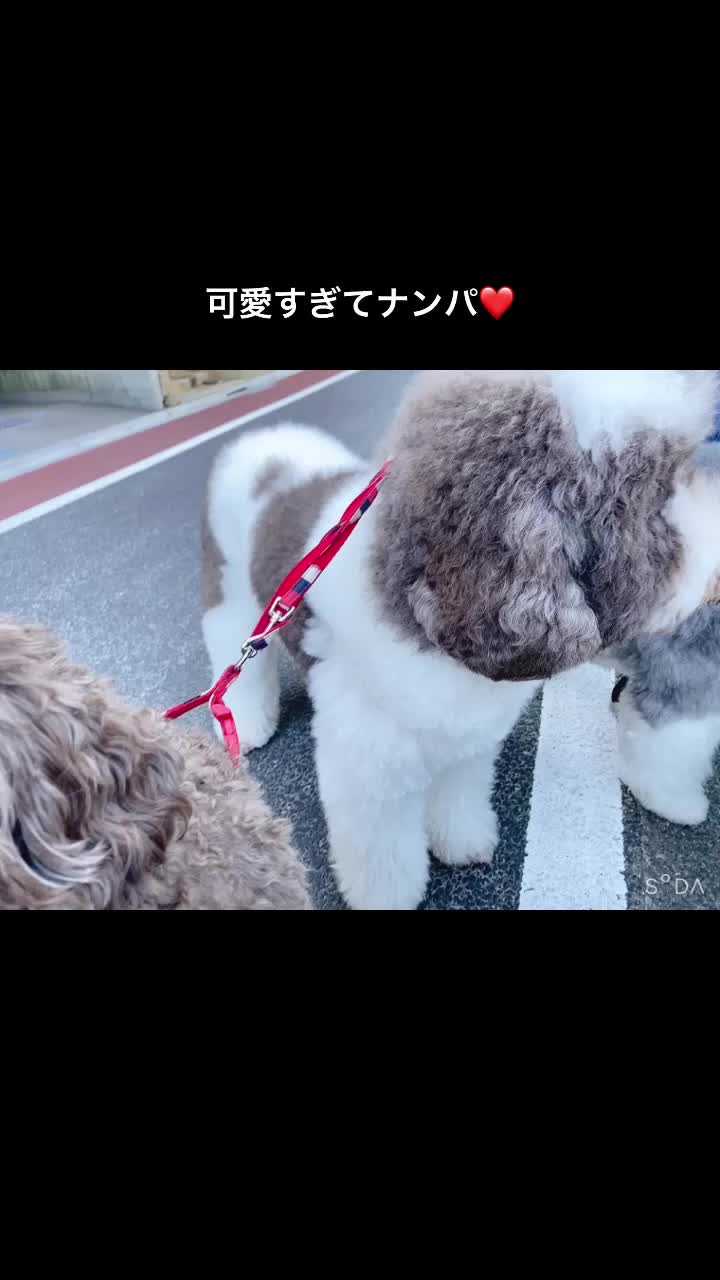 @梅澤香