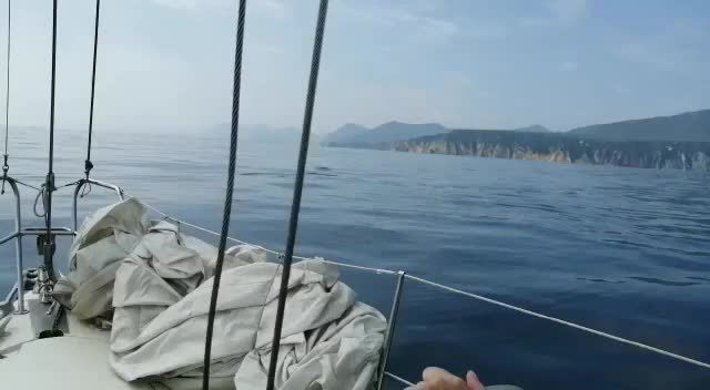 @Камчатка на ладони