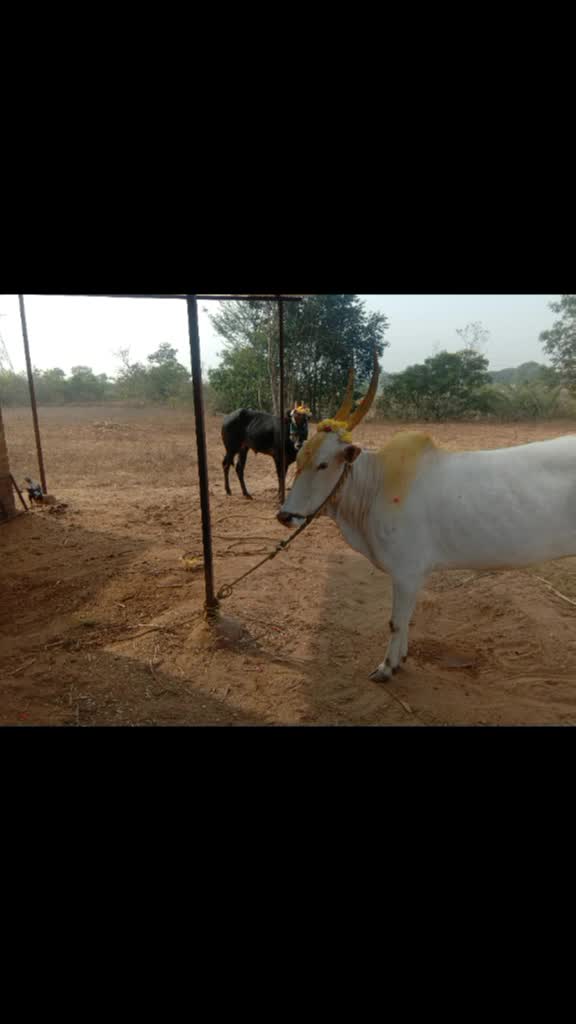 @Vijay Karan