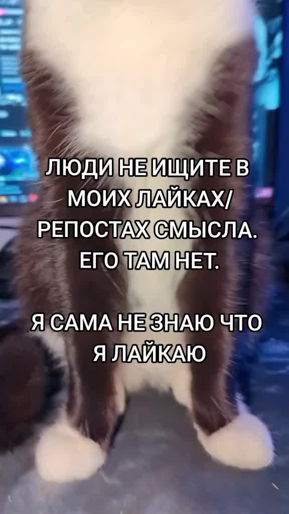 @swallow