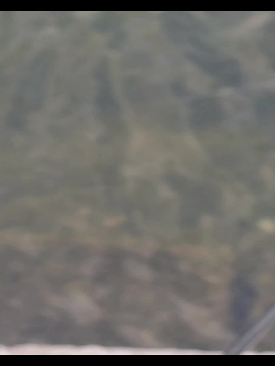 @Alpha & Omega Fishing LLC