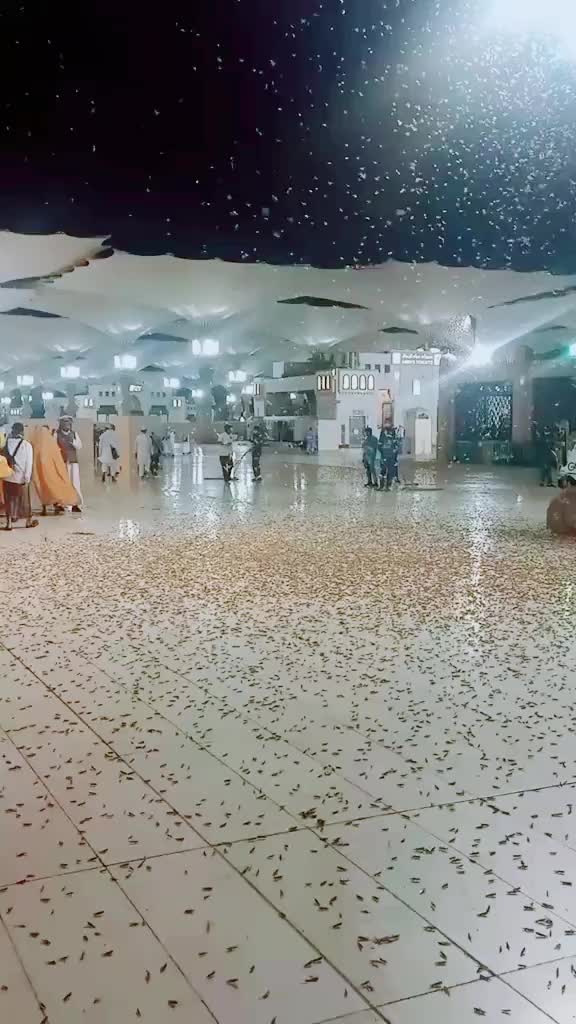 @🕋💞hasbandwife💞🕋