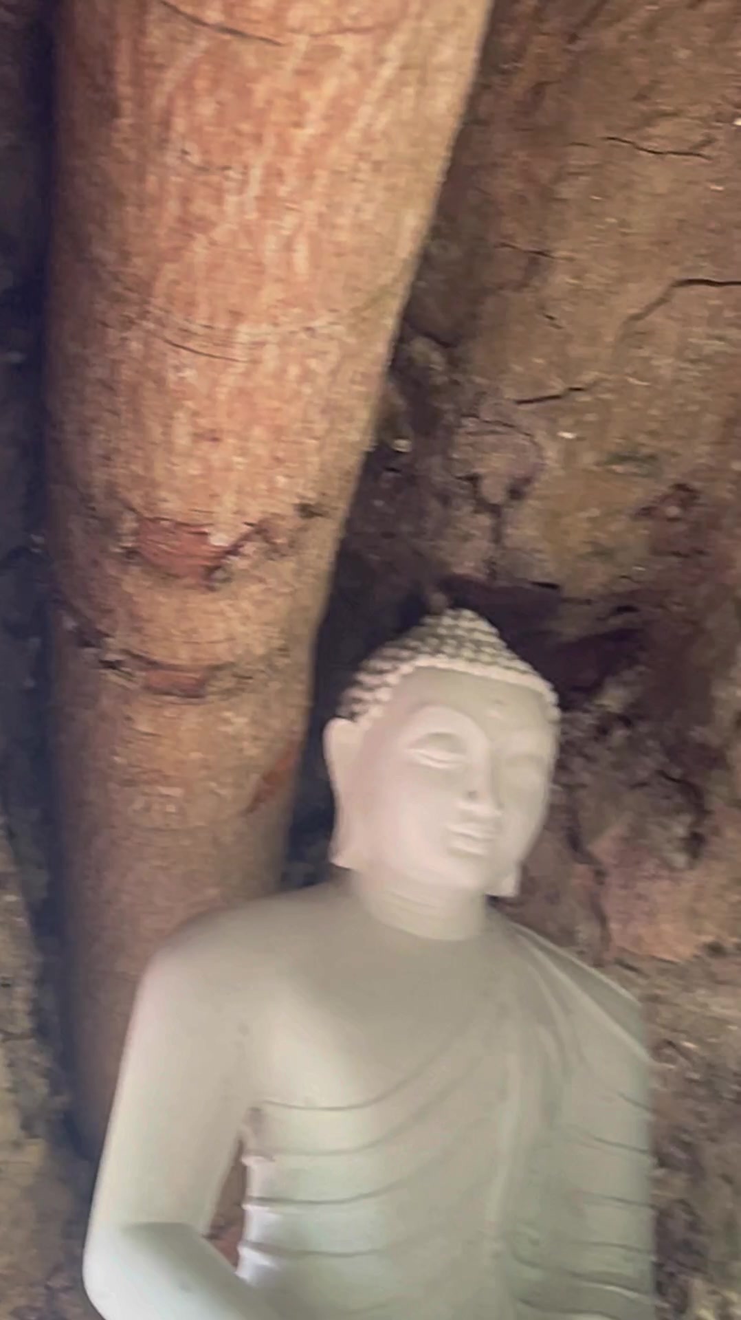 @TikTok Sri lanka