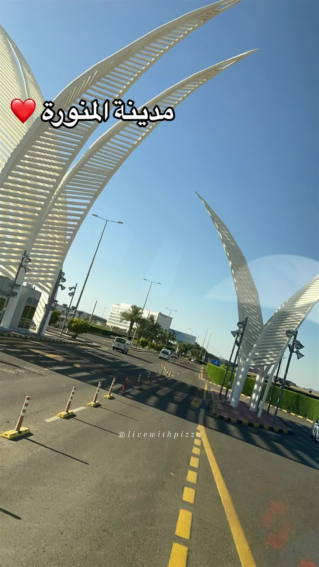 @Pizzo🇵🇰🇦🇪