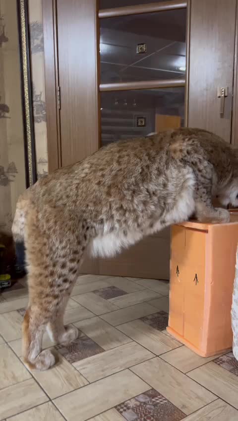 @Анна