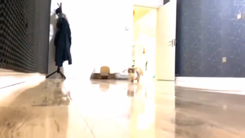@່່່