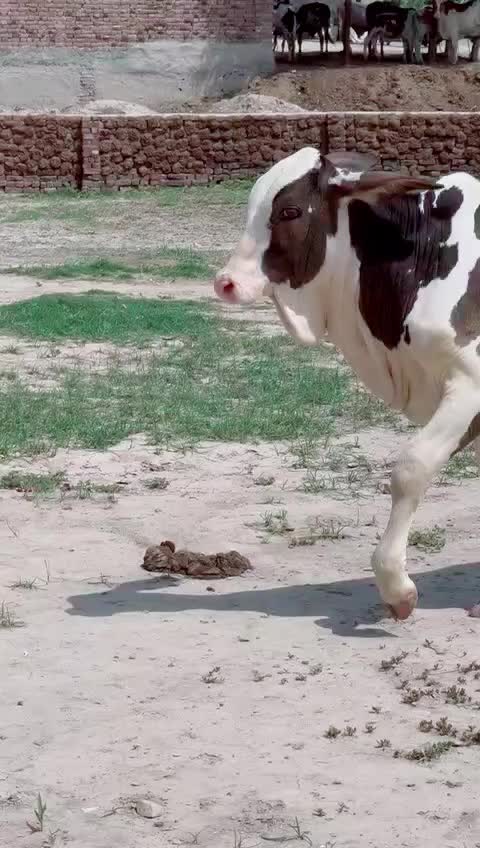 @user82159261514