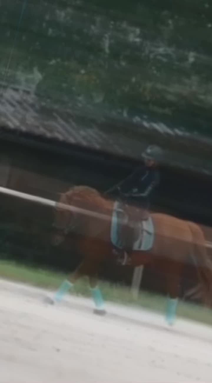 @horse riders