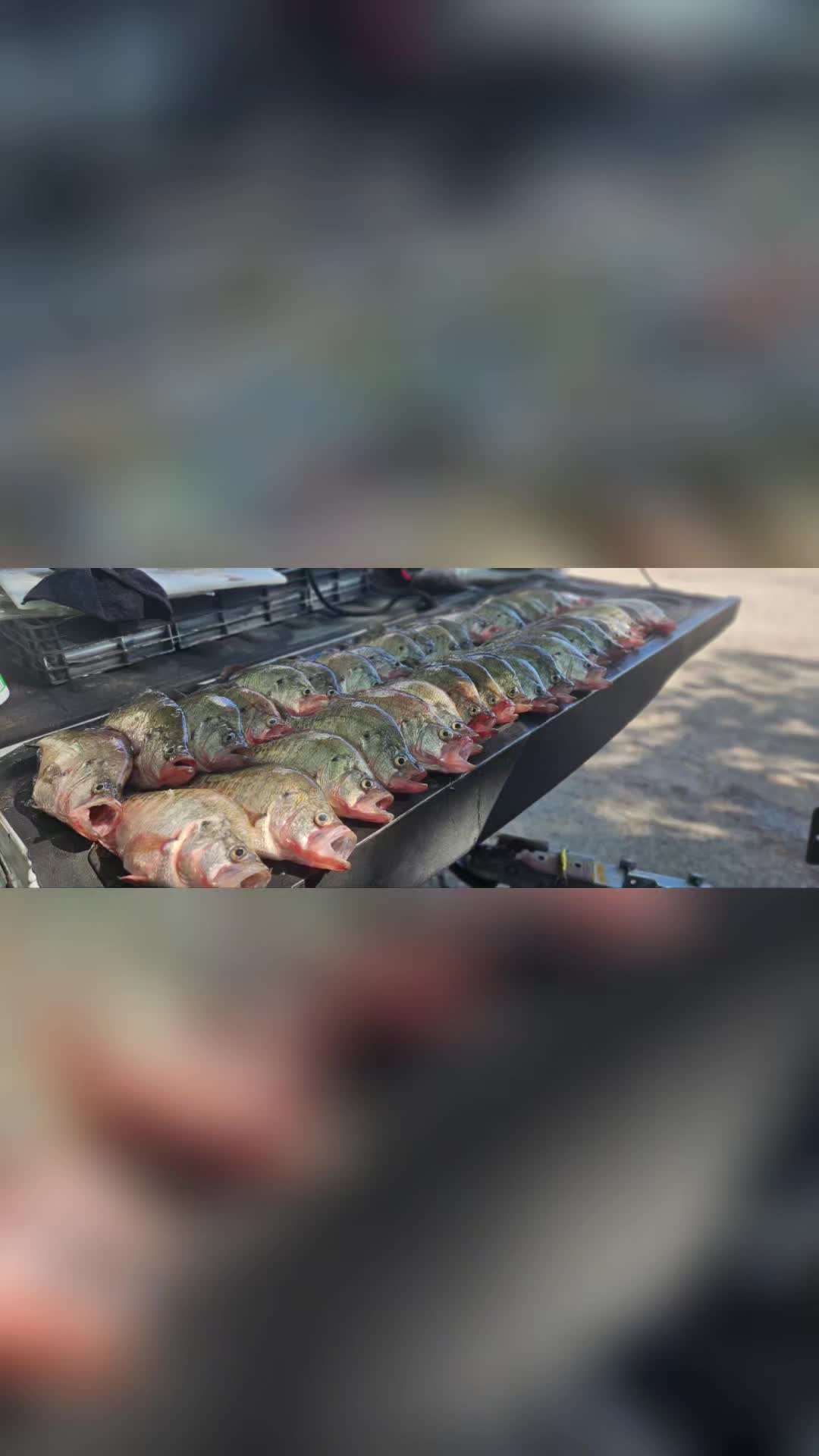 @Crappie Sniper