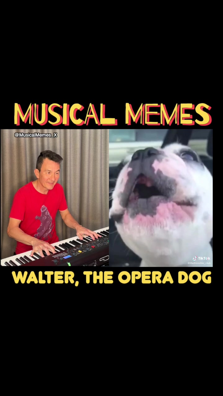 @MUSICAL MEMES Brandon Ethridge