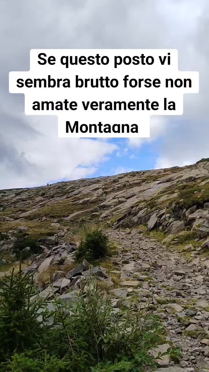 @Montagna Estate