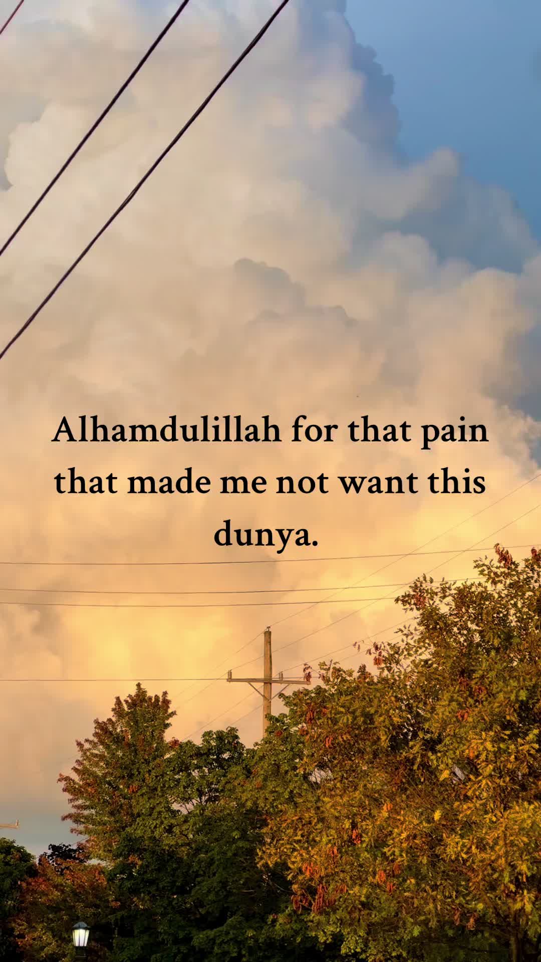 @Amana S. Habib