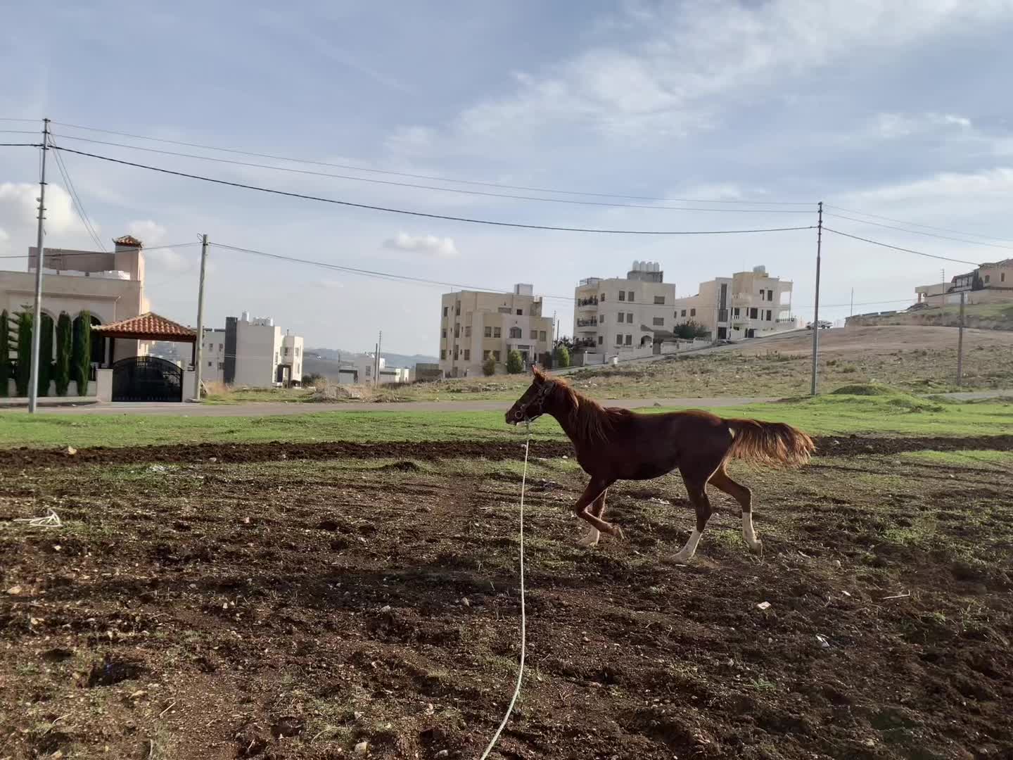 @Morad_Almanaseer