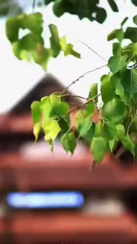 @DHANOOP KRISHNAN ๐GOPIKA๐