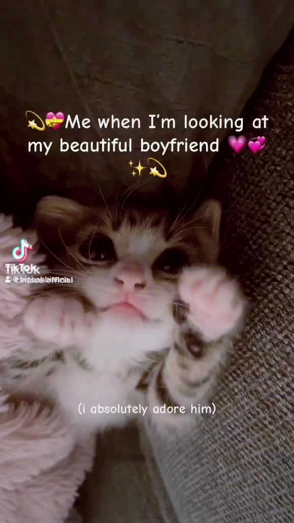 @Noelle 💜