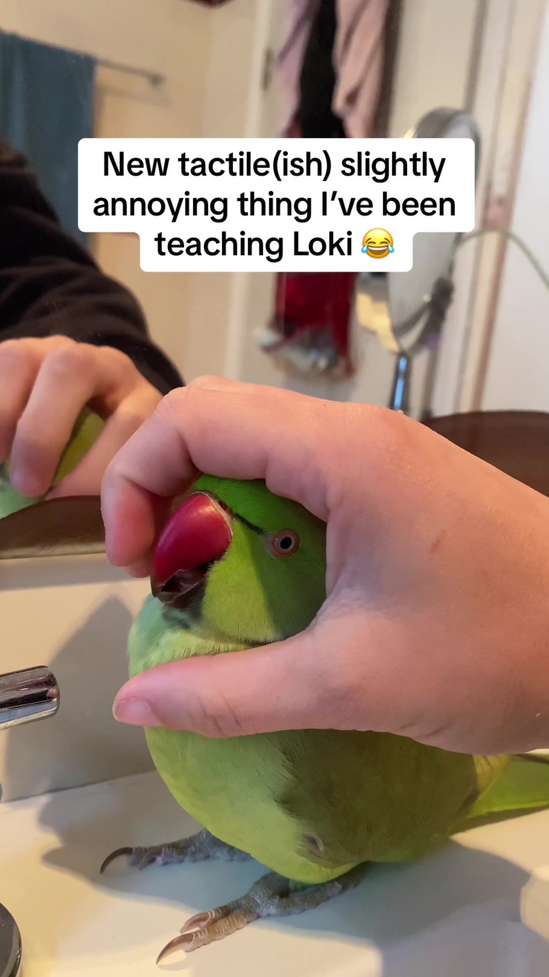 @millieandloki