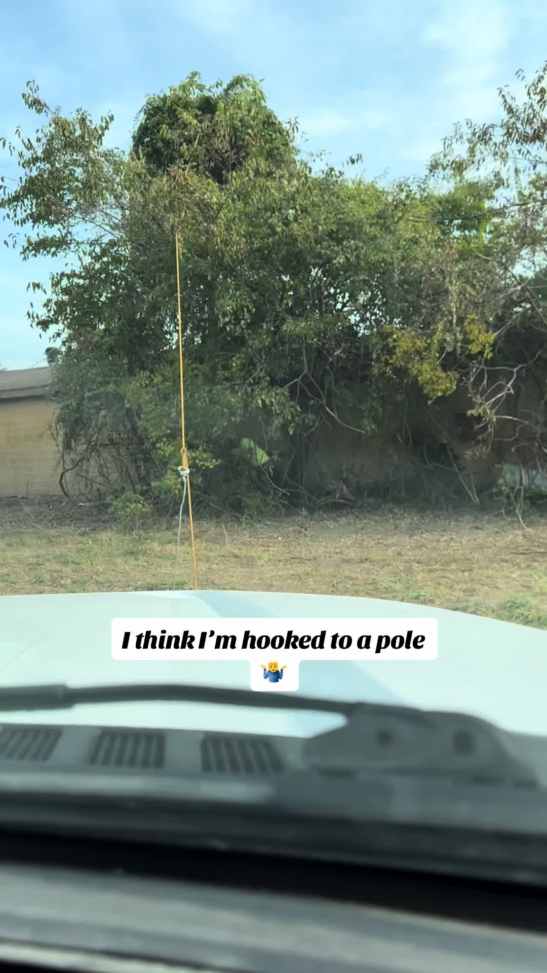 @Jon