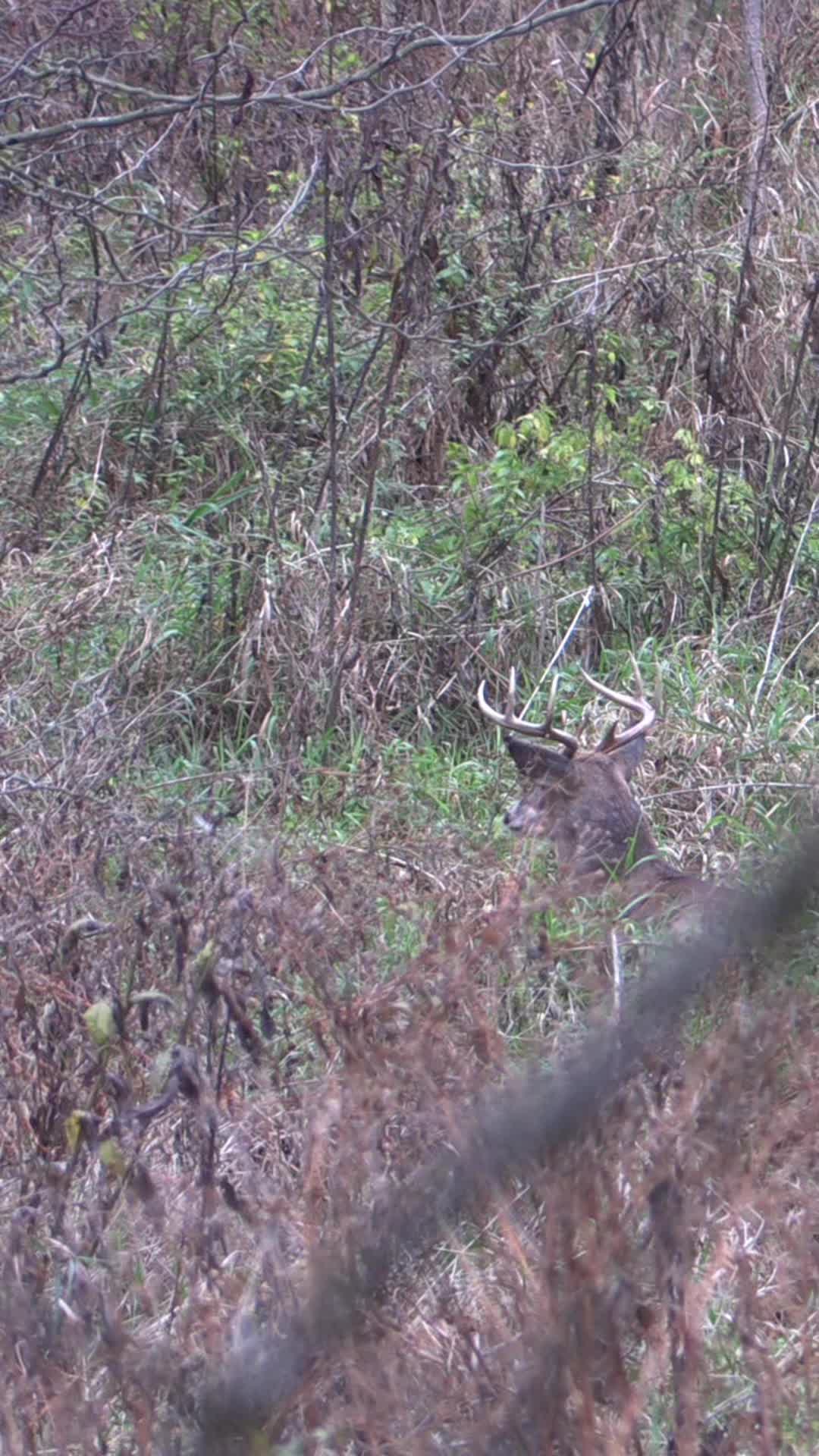 @TheHuntingJunkie