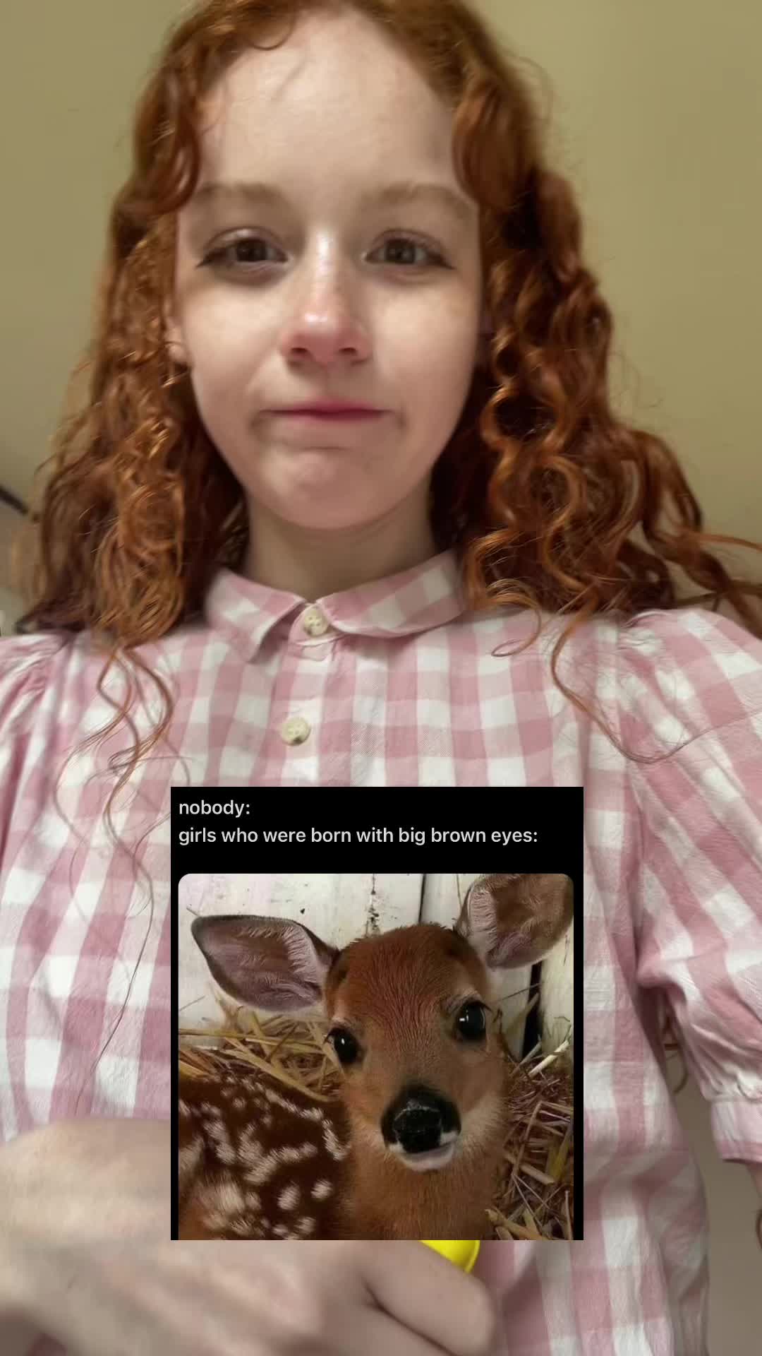 @bunni
