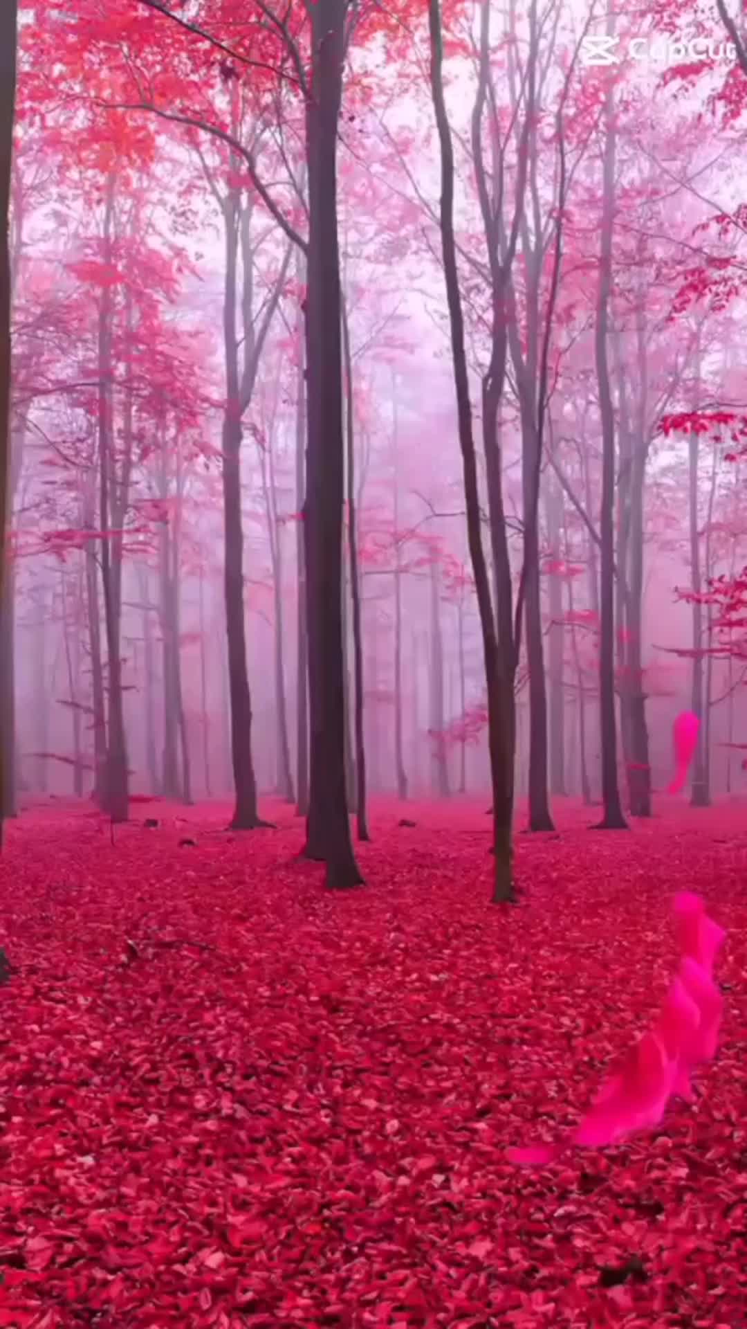 @মাসুদ হয়েছি আমি BTSএর প্রেমে💜