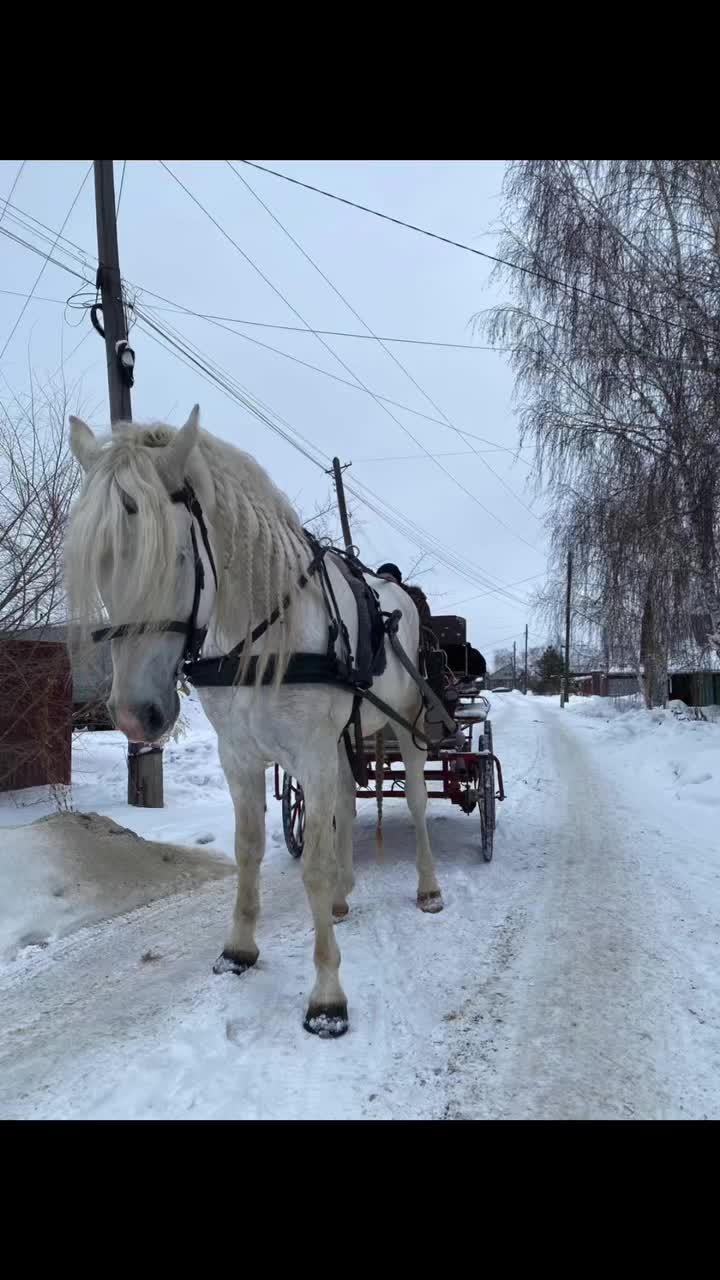 @А_нют_А🤪
