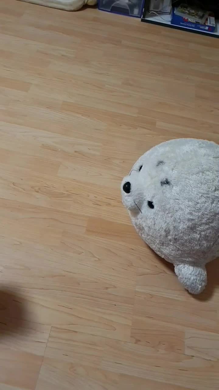 @the coconutkitty