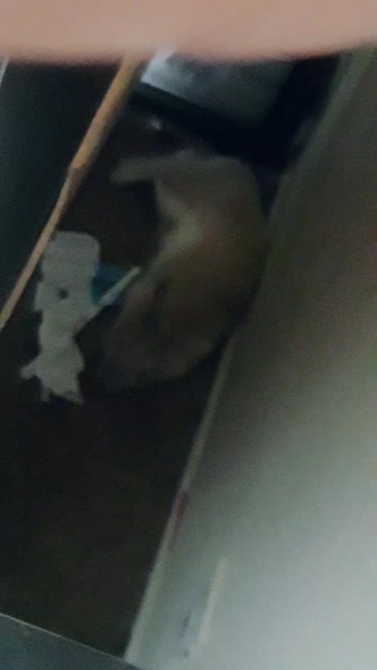 @alexthebeast