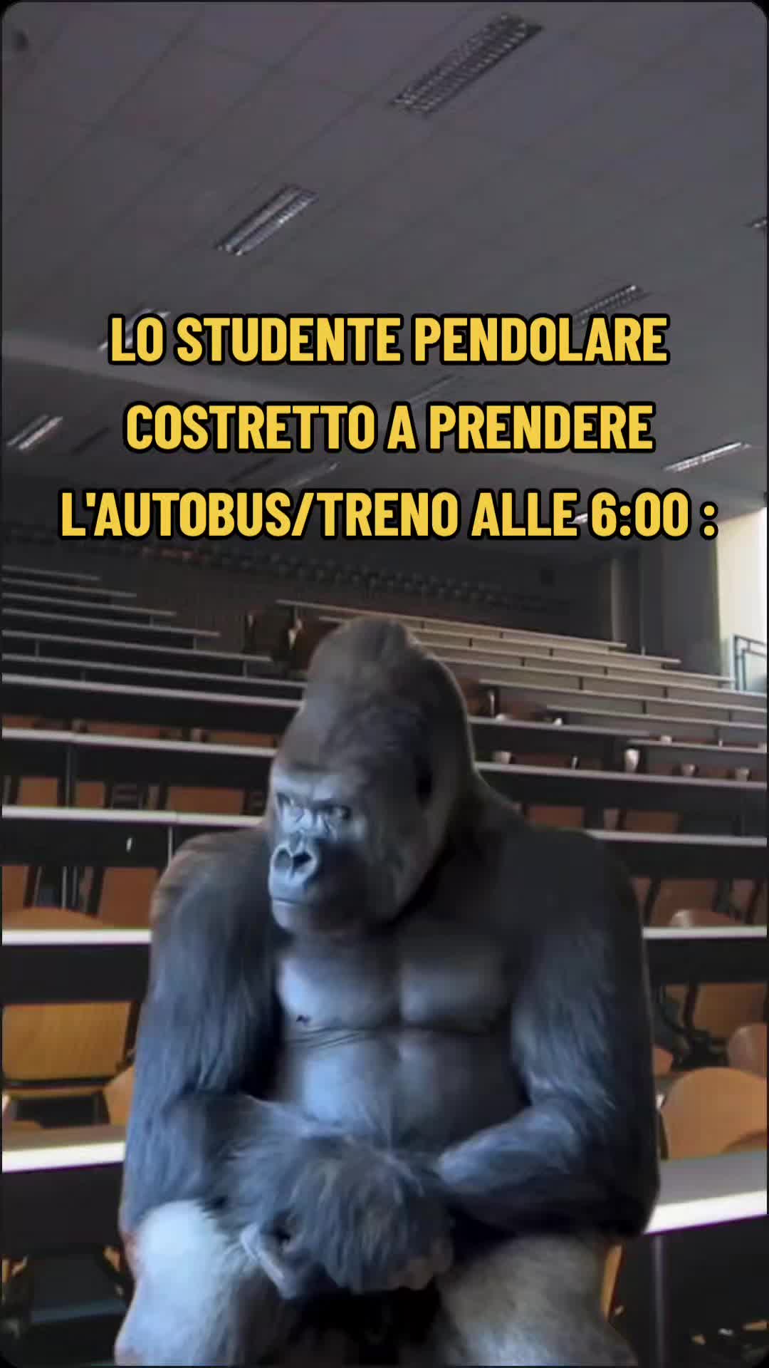 @PoliBabbei